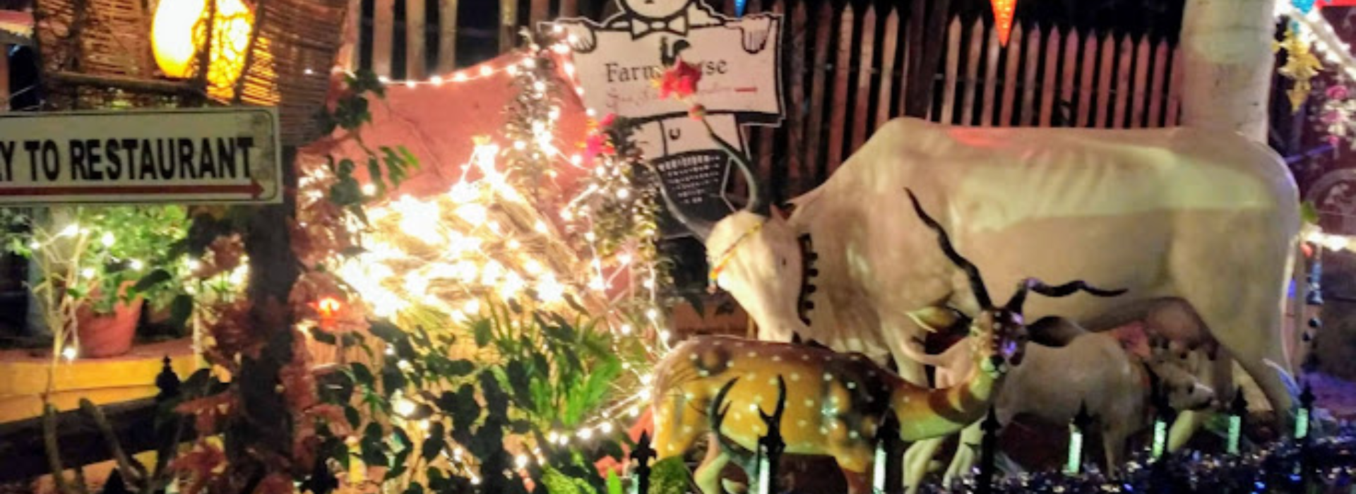 farmhouse ambadiroad 3